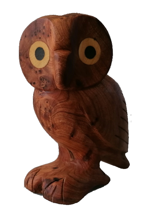 marrakech-owlet.png