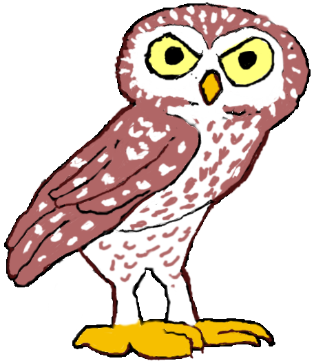 Owlet
